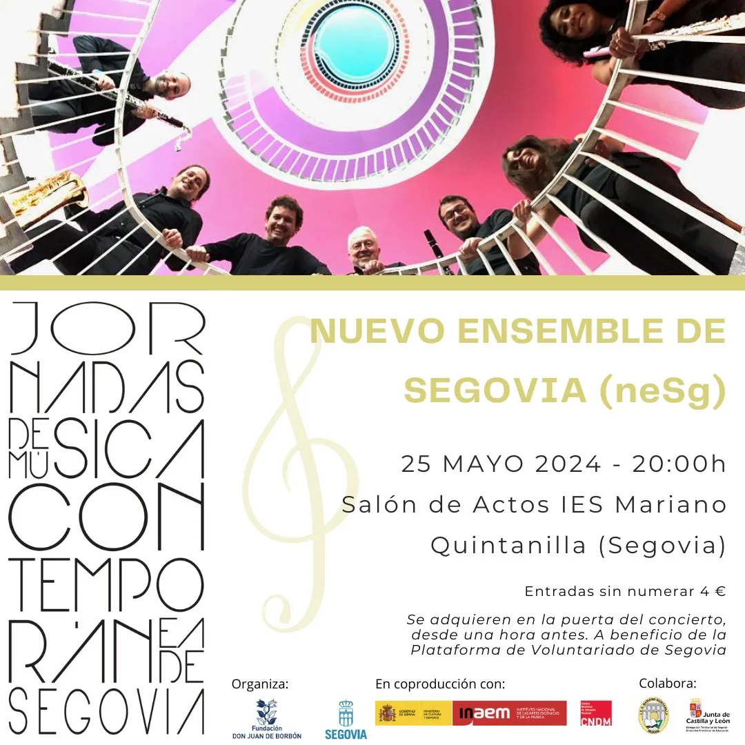 CARTEL CONCIERTO PVSG