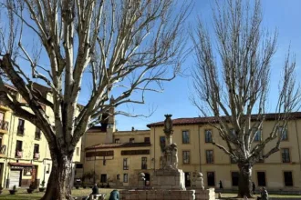 plaza-grano-25062024