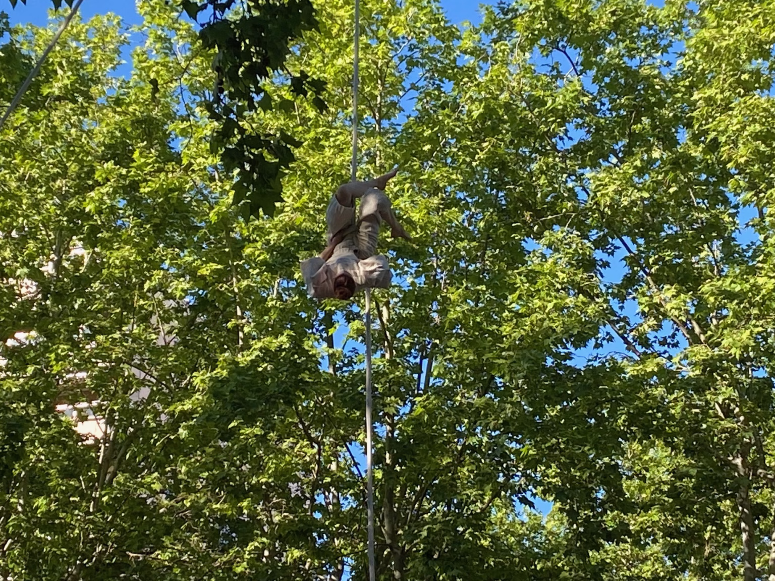 Margarida Montenÿ recibió en 2024 el premio Jóvenes Artistas Coliseu Ageas. Foto: Social24Horas