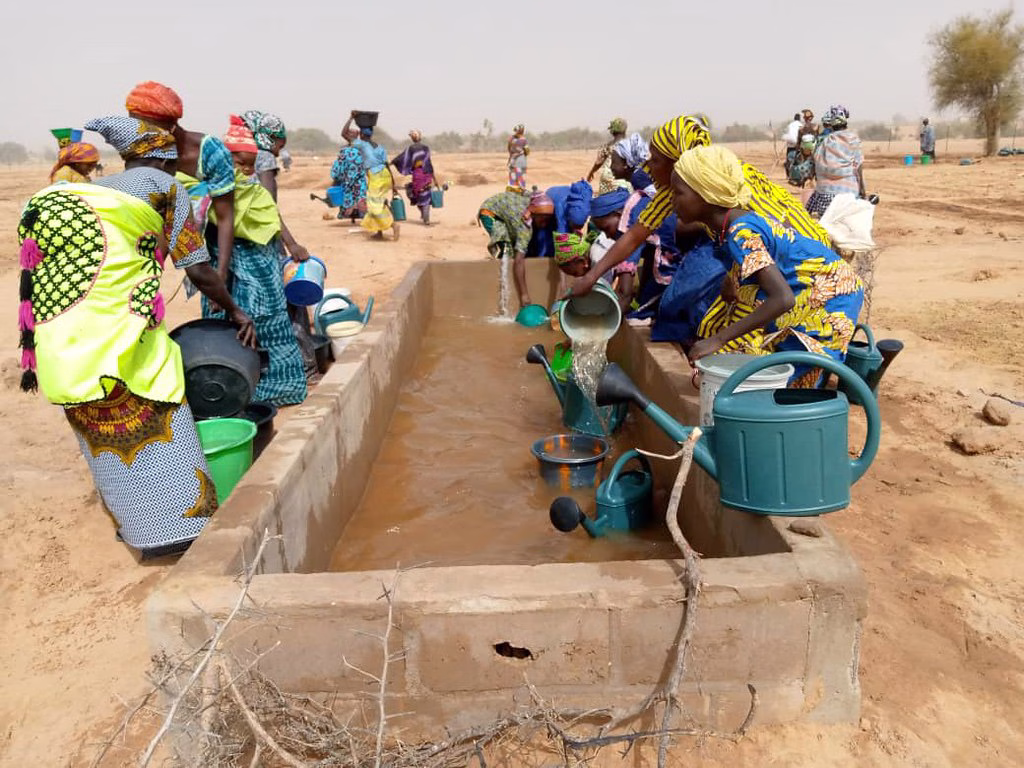 Proyecto comunitario para las mujeres que trabajan la tierra en Oudalaye (Senegal). Foto: FAO Senegal