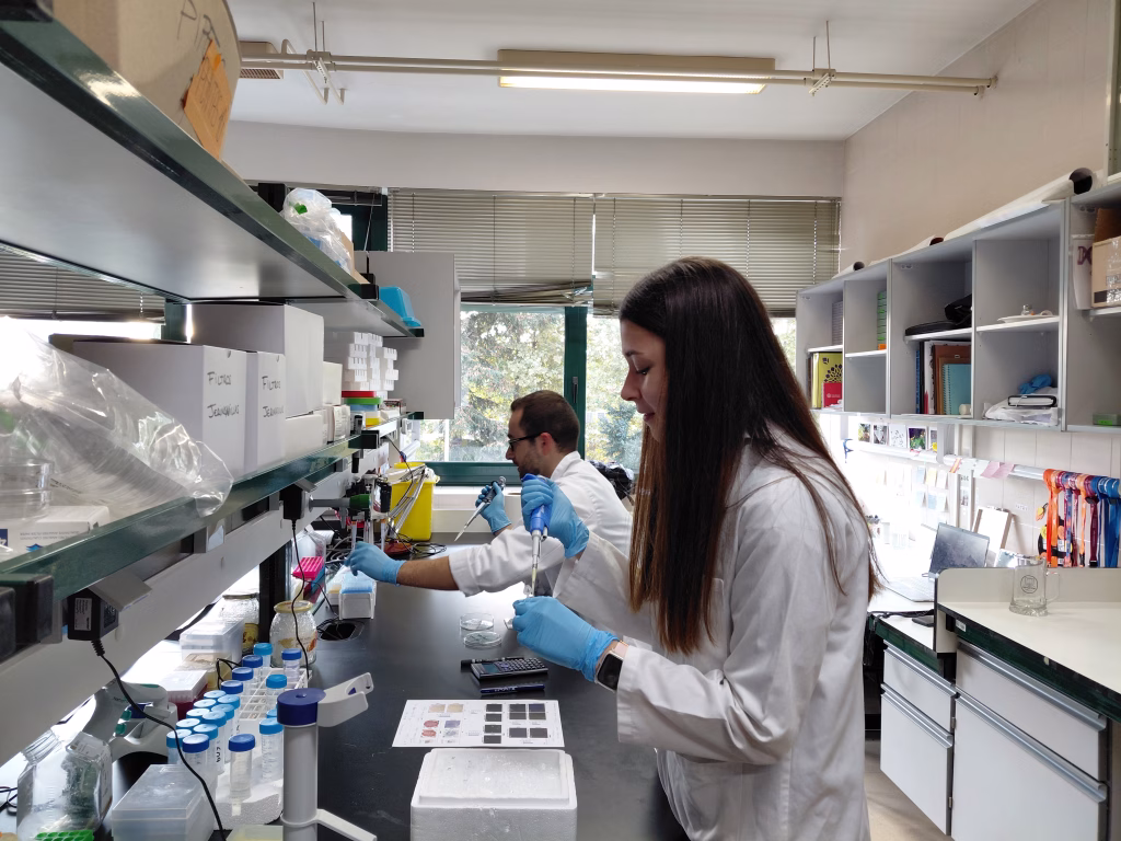 El equipo de esta investigación está formado por nueve personas