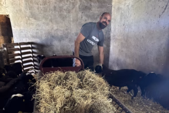 Manuel Choya, en su trabajo diario en El Redil del Oeste. Foto: Lina Vergara