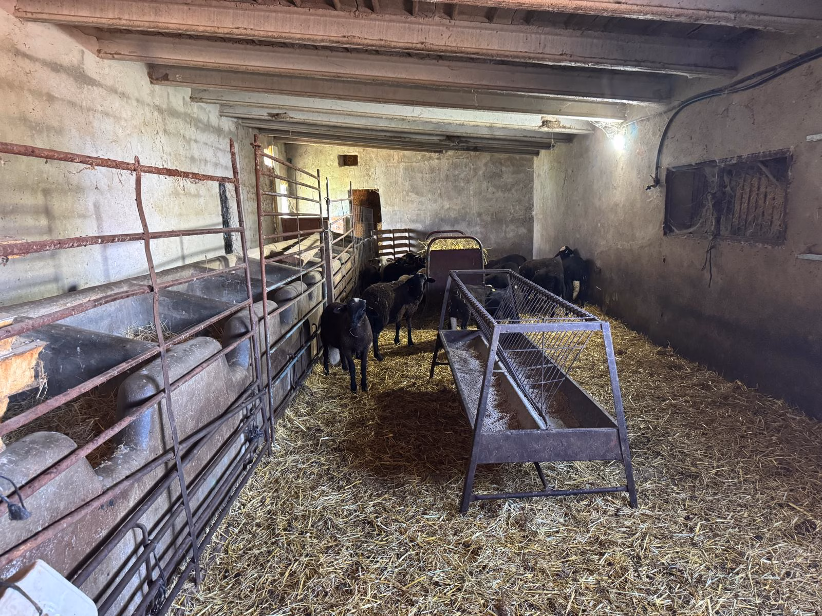 Instalaciones de El Redil del Oeste, en Ciudad Rodrigo (Salamanca). Foto: Lina Vergara
