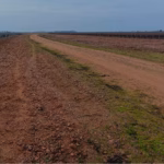 Inmediaciones de los terrenos donde está proyectada la planta de biometano de Melgar de Abajo. Foto: Plataforma Melgar de Abajo Saludable
