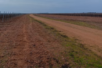 Inmediaciones de los terrenos donde está proyectada la planta de biometano de Melgar de Abajo. Foto: Plataforma Melgar de Abajo Saludable