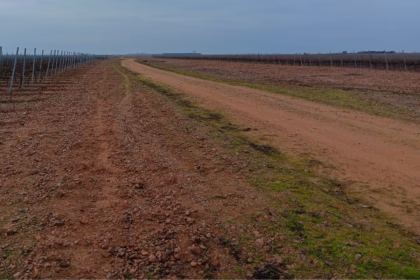 Inmediaciones de los terrenos donde está proyectada la planta de biometano de Melgar de Abajo. Foto: Plataforma Melgar de Abajo Saludable