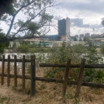 AMA El Pisuerga organiza la respuesta vecinal ante las necesidades del río Pisuerga y su entorno. Foto: Social24Horas