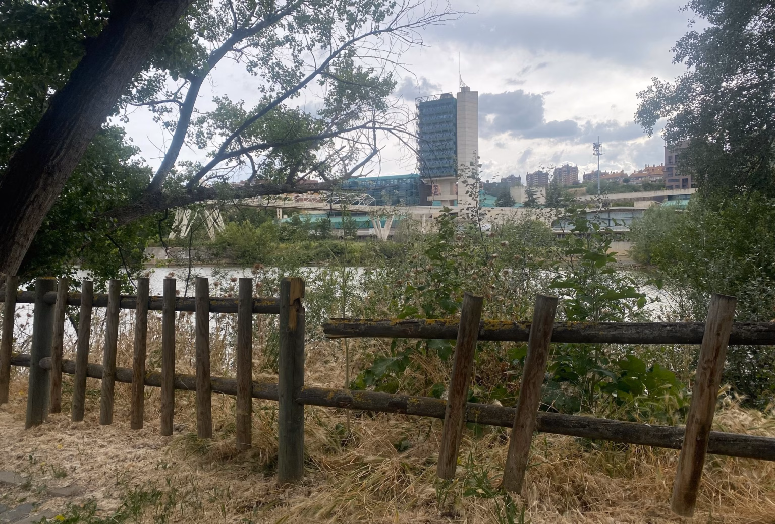 AMA El Pisuerga organiza la respuesta vecinal ante las necesidades del río Pisuerga y su entorno. Foto: Social24Horas