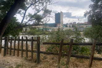 AMA El Pisuerga organiza la respuesta vecinal ante las necesidades del río Pisuerga y su entorno. Foto: Social24Horas