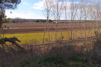 Aspecto actual de los terrenos donde irá parte de la gravera. Foto: Ecologistas en Acción Valladolid