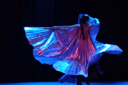 GALA Las Enfermedades Raras también bailan (Foto: Redacción León)