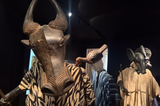 La finalidad esencial del Museo de Arte Africano es el fomento de las artes y las actividades artísticas como expresión plástica la libertad y la tolerancia.