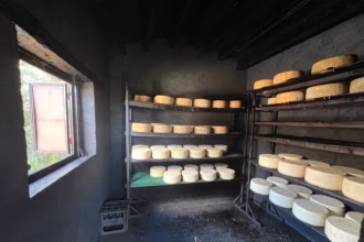 Granja Cantagrullas, comprometidos con la generación de redes de trabajo en la Castilla vaciada. Foto: Granja Cantagrullas