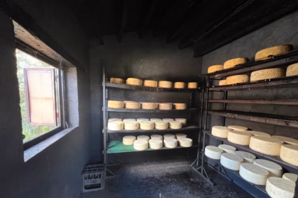 Granja Cantagrullas, comprometidos con la generación de redes de trabajo en la Castilla vaciada. Foto: Granja Cantagrullas