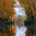 El mantenimiento de las riberas del Canal de Castilla, centro de la nueva polémica medioambiental en la región. Foto: Ecologistas en Acción