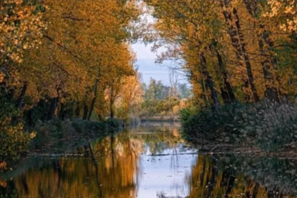 El mantenimiento de las riberas del Canal de Castilla, centro de la nueva polémica medioambiental en la región. Foto: Ecologistas en Acción