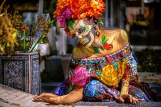 S.B. Ley de la Naturaleza (Foto: Moisés Fonseca - Pexels)