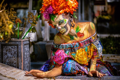 S.B. Ley de la Naturaleza (Foto: Moisés Fonseca - Pexels)