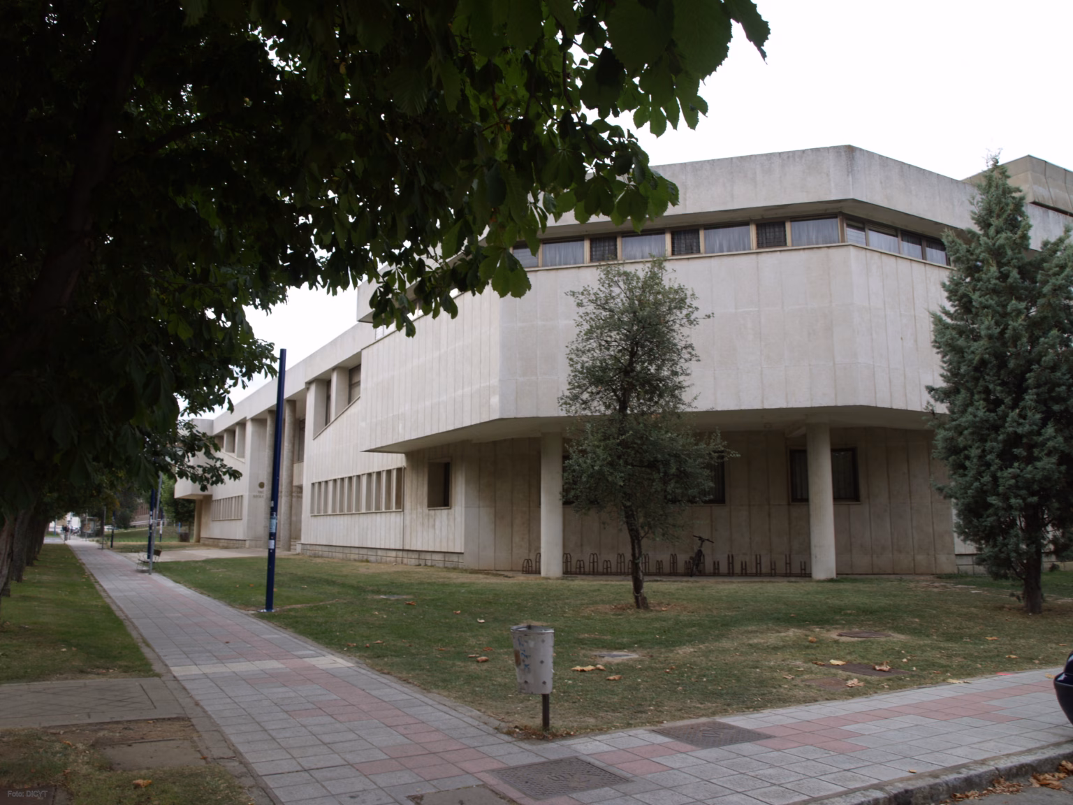 Árboles del Campus de Vegazana