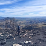 ULE Investigación incendios 2025 David Beltran