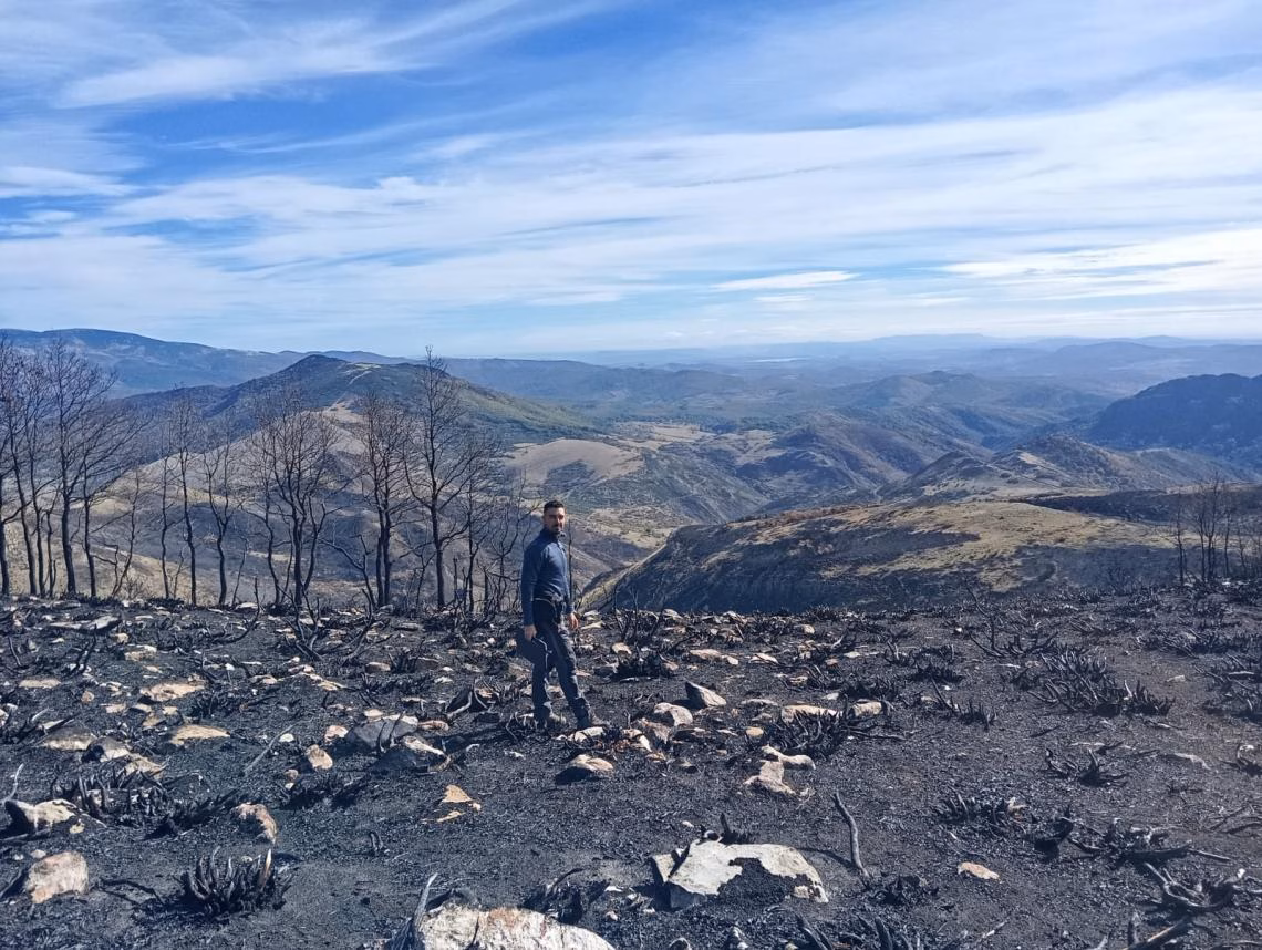 ULE Investigación incendios 2025 David Beltran