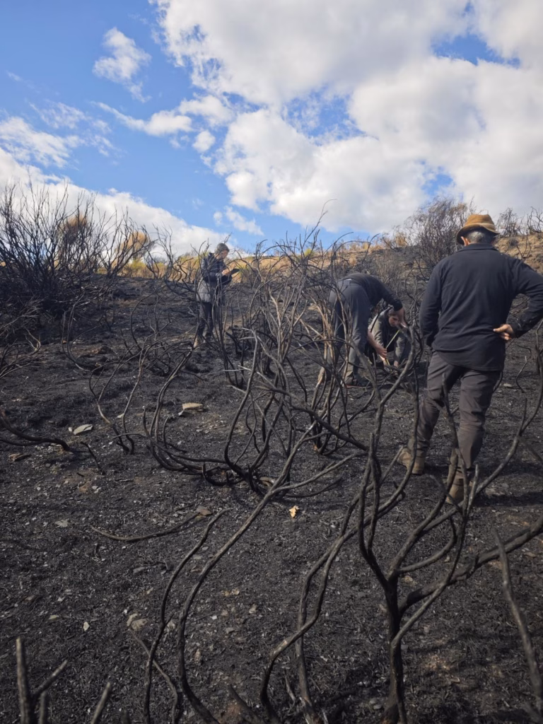 ULE incendios 2025