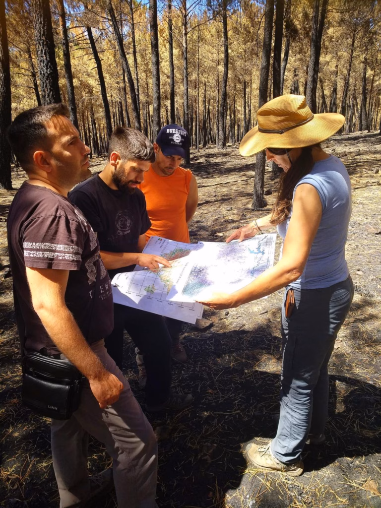 grupo de Ecología Aplicada y Teledetección (GEAT) de la Universidad de León Leonor Calvo, José Manuel Fernández Guisuraga y David Beltrán Marcos