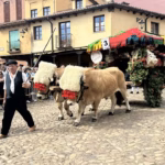 San Froilán 2026