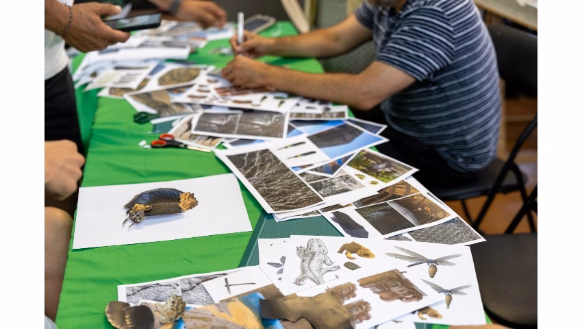 Fundación Cerezales Antonino y Cinia y el Instituto Leonés de Cultura (ILC) VI edición del programa de ayuda a artistas Nudo -Knot