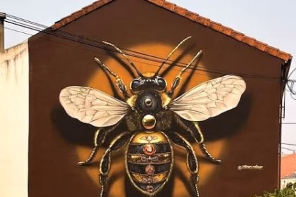 Häcko Crâne vs QUEEN BEE en @artaerorap VIII