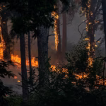 Los incendios de la provincia de Ávila han batido tristes récords este verano. Foto: RTVE