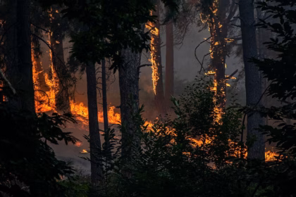 Los incendios de la provincia de Ávila han batido tristes récords este verano. Foto: RTVE