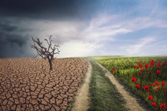 CAMBIO CLIMÁTICO