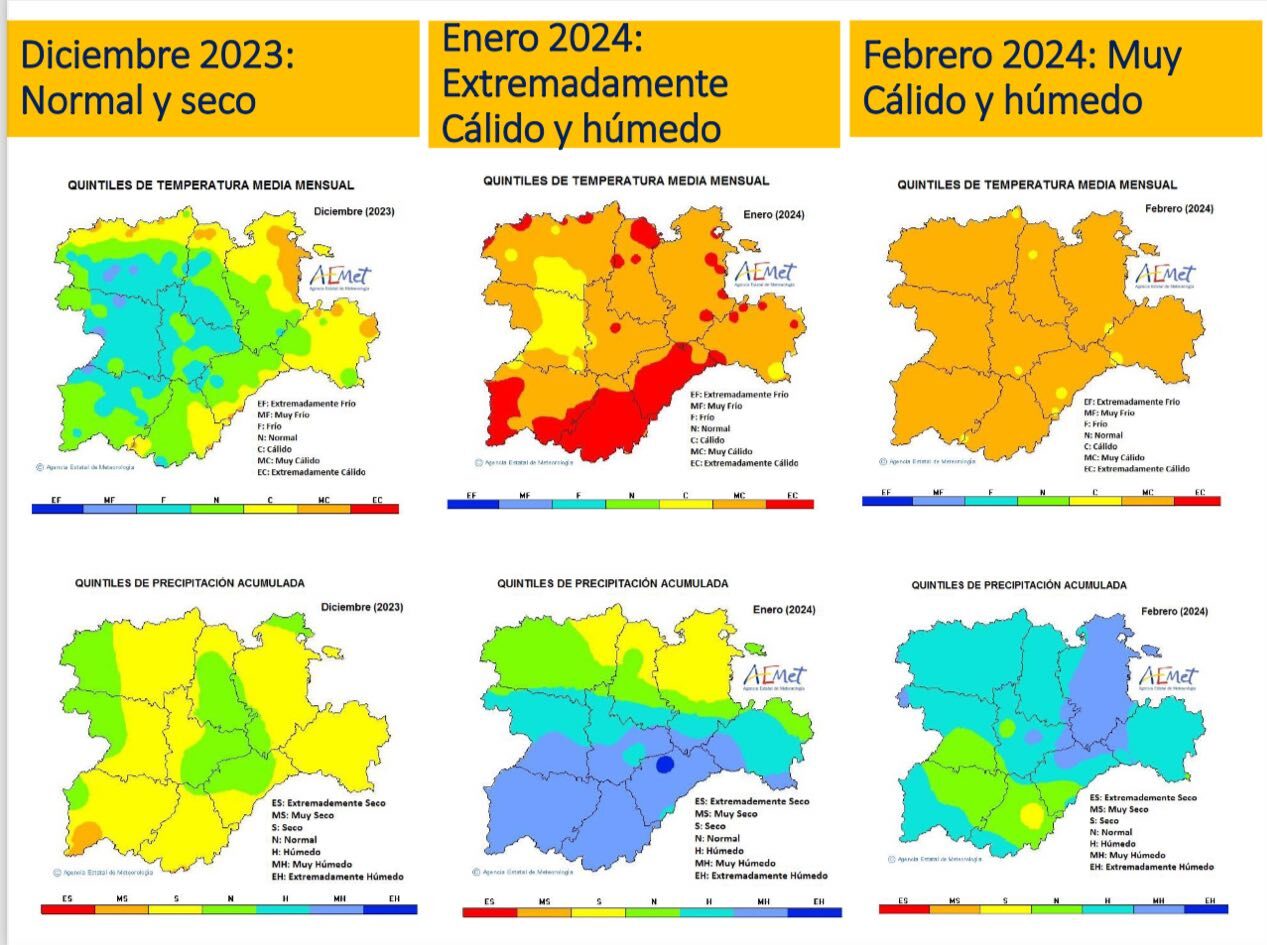 Informe
