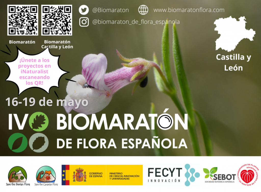 BIOMARATÓN ULE