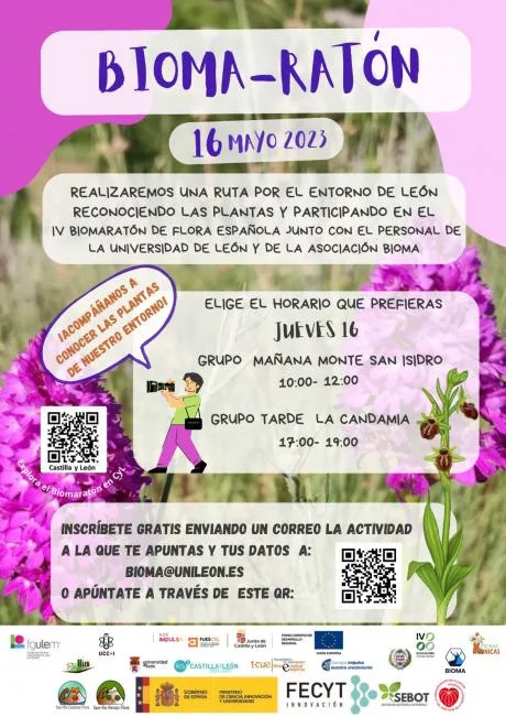 actividad_dia_16_en_leon