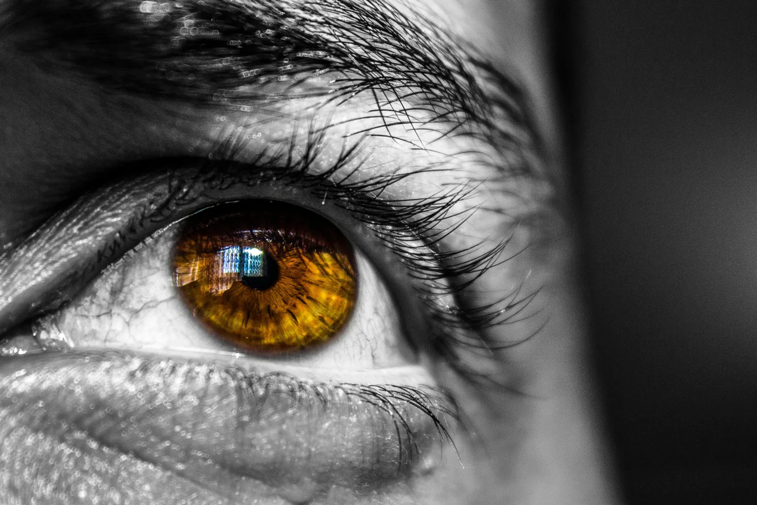 Dogmas-Sara.Braña-pexels