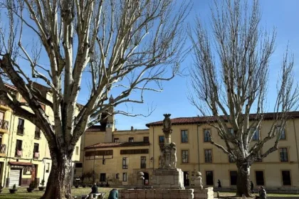 plaza-grano-25062024