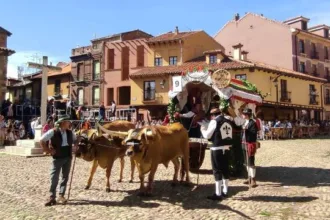 carros-sanfroilán