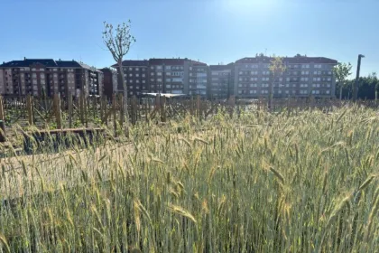 Parque-tierras-cereal