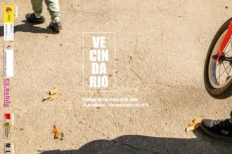 Vecindario_león