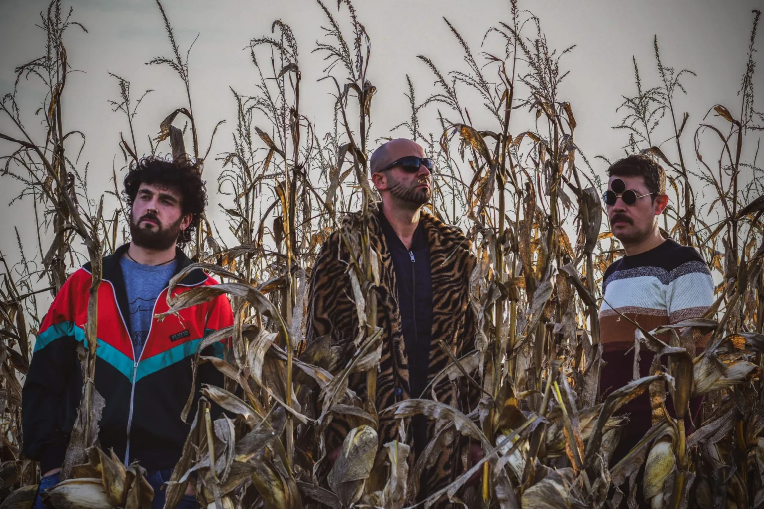 La banda leonesa Catalina Grande Piñón Pequeño ha publicado en 2024 el LP "Éxitos razonables".