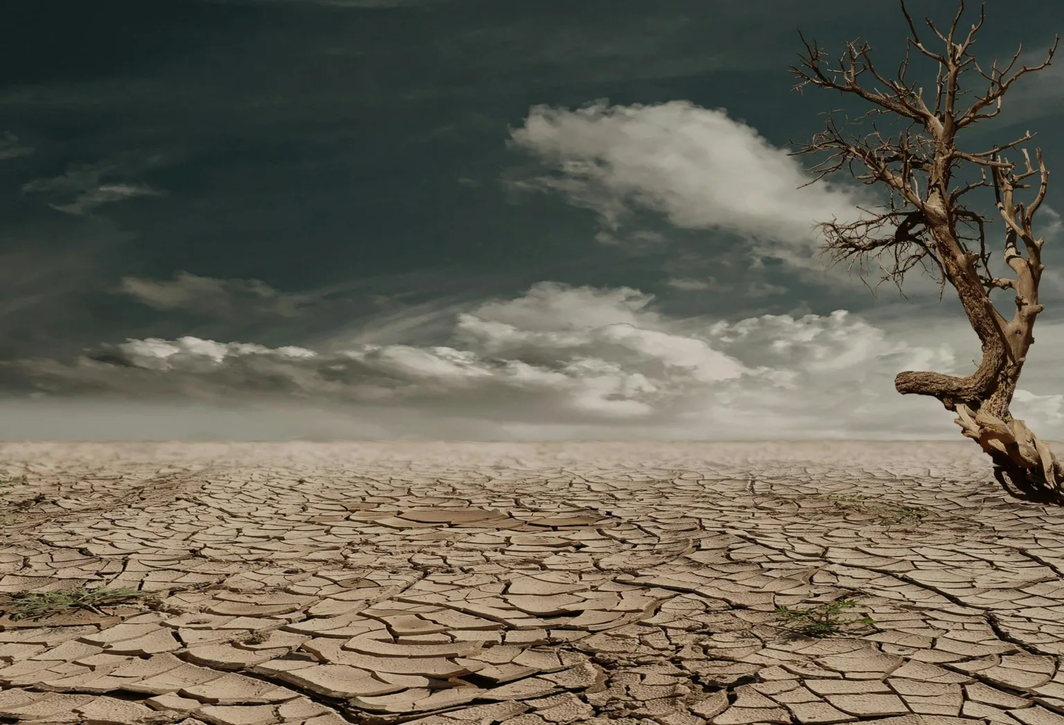 Cambio climático