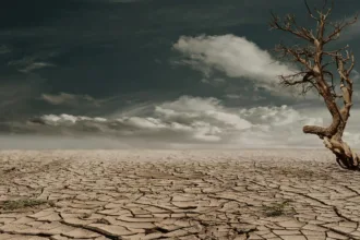 Cambio climático