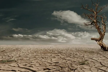 Cambio climático