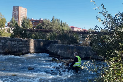 AMA El Pisuerga organiza cada semana acciones para la preservación del río Pisuerga y su entorno. Foto: Social24Horas