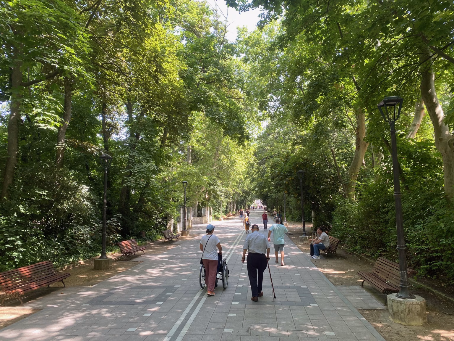 El Campo Grande es uno de los principales pulmones de la ciudad de Valladolid. Foto: Social24Horas