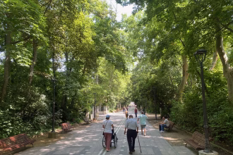 El Campo Grande es uno de los principales pulmones de la ciudad de Valladolid. Foto: Social24Horas