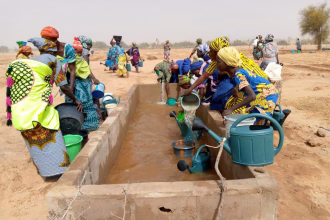 Proyecto comunitario para las mujeres que trabajan la tierra en Oudalaye (Senegal). Foto: FAO Senegal