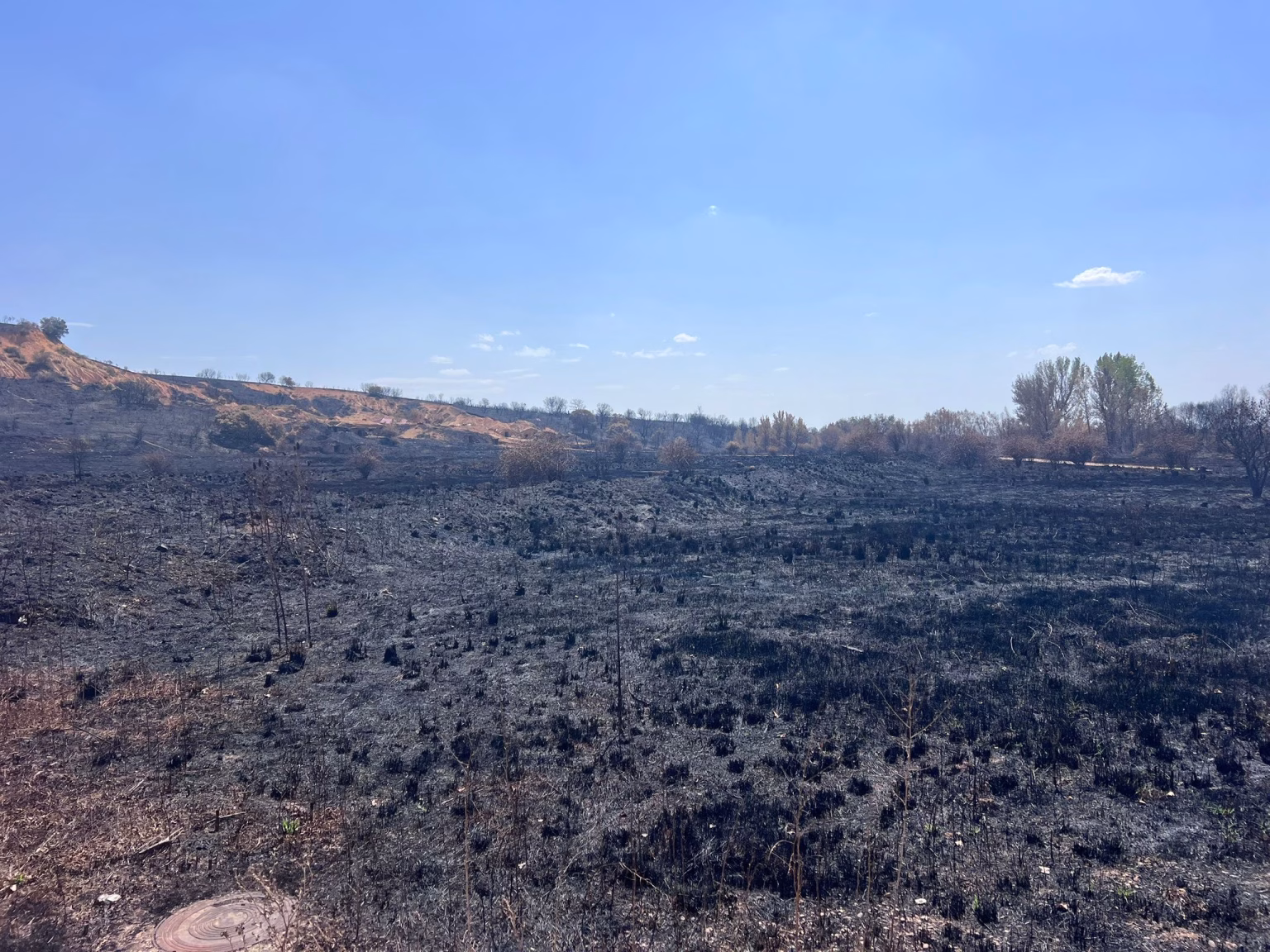 Zamora es una de las provincias españolas devastada por el fuego este verano. Foto: Coordinadora Rural Zamora